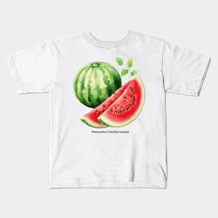 Botanical illustration of Watermelon (Citrullus lanatus) Kids T-Shirt